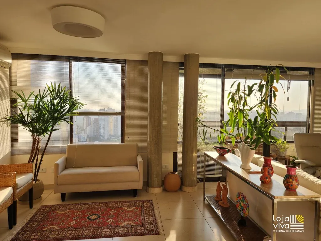 Obra Laura Roizman — imagem 1